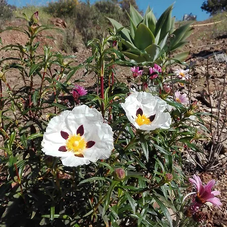 Farm stay Paisagem Do Guadiana Turismo Rural Alcoutim